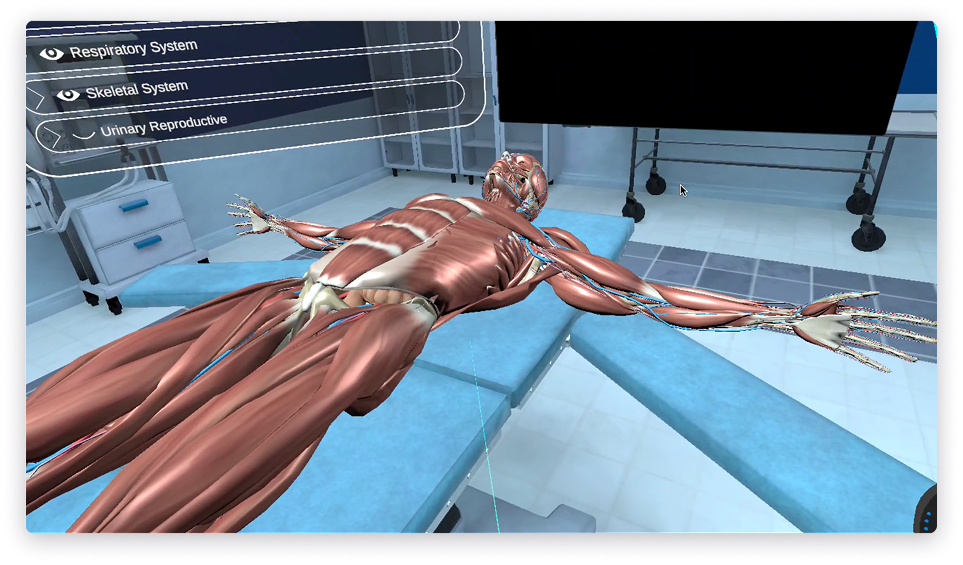 Phase 1 illustration 5