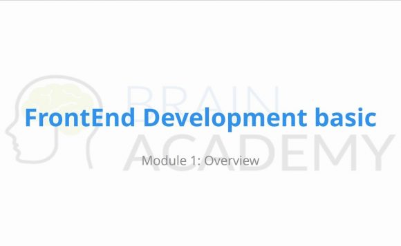 frond end development qualium systems