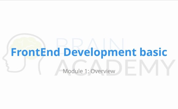 Series of Lectures on the Front End Development frond end development qualium systems