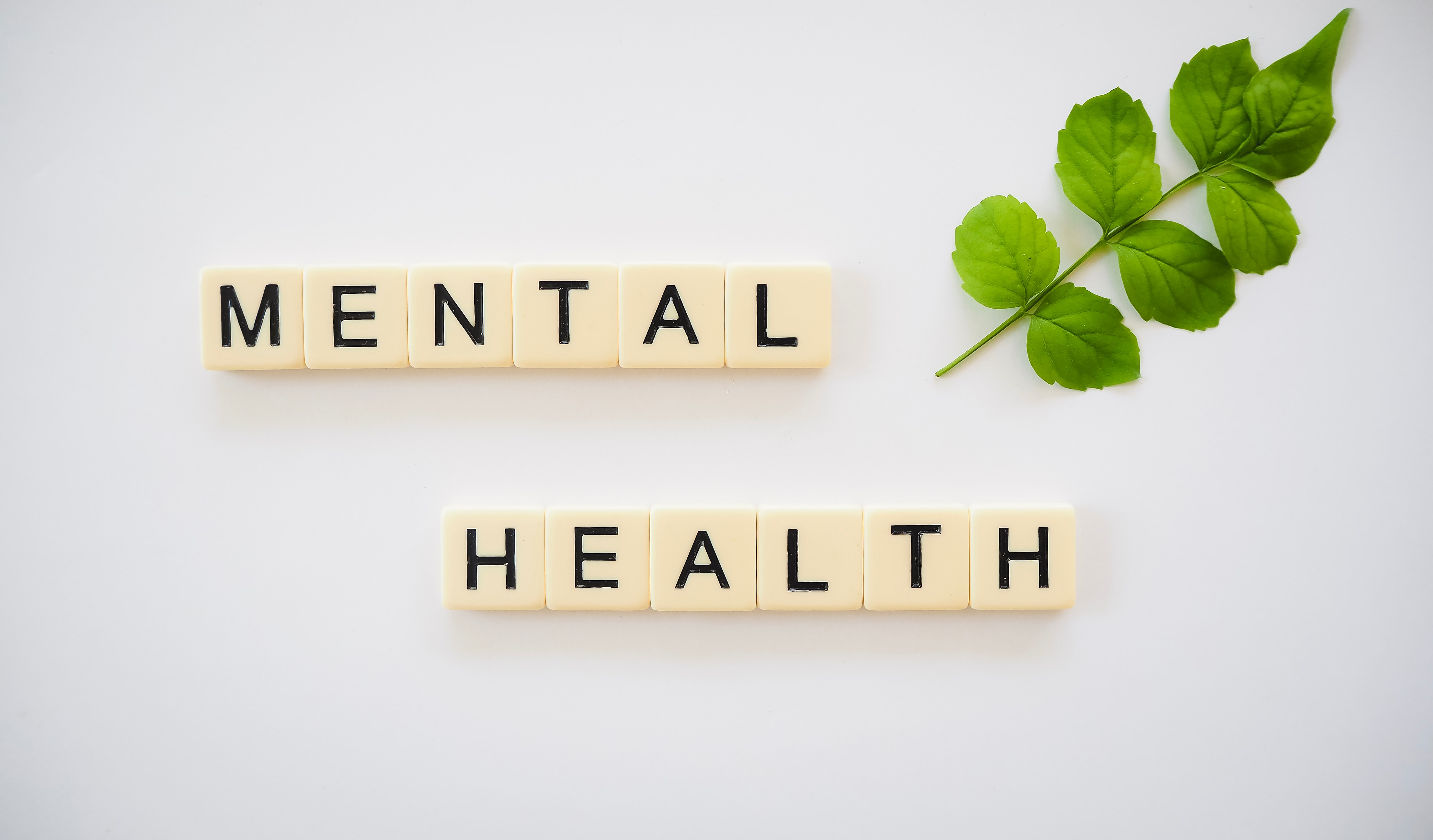 Our thoughts on virtual reality for mental health https://docs.google.com/document/d/1QY7kKDPcNygTOddfe6XHOCRsqFmS4CM1/edit