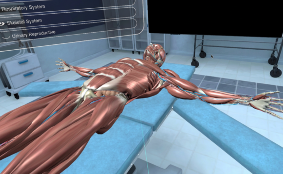 The State of 3D Medical Image Visualization in 2026