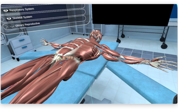 The State of 3D Medical Image Visualization in 2026